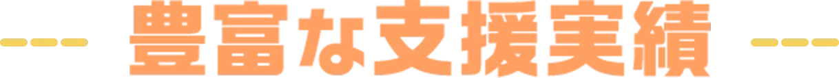 豊富な支援実績